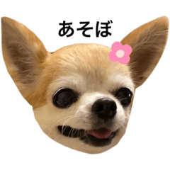 YUKA_20210918220101