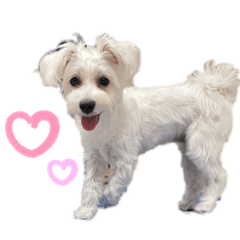 nanami_20210919004658