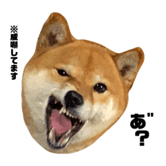 Zlwwjroxvr8rwm Zlwwjroxvr8rwm