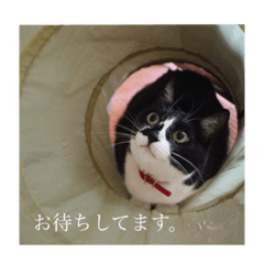 aoi_20210918233823