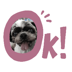 hikari_20210919095729