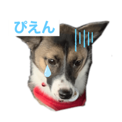 ayano_20210917212716