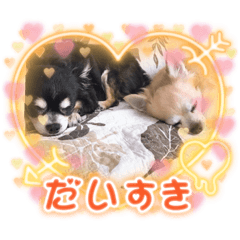 miki_20210924201651