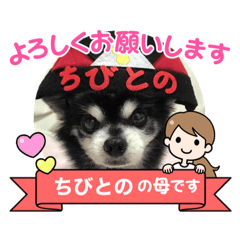 miki_20210924204044