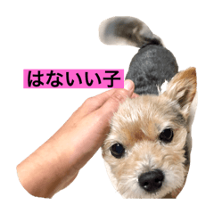 chie_20210924205432