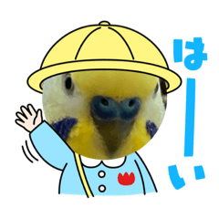 OUSUKE_20210924183746