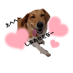 himawari_20210924223143