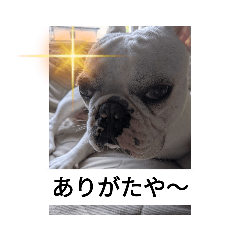yamazaki_20210924210517