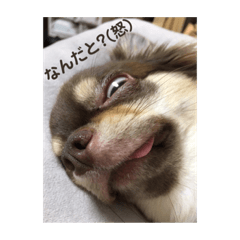 Omochi_20210924230232