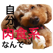 toy poodle      stamp