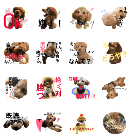 toy poodle      stamp