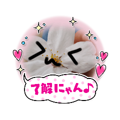 miki_20210925092150