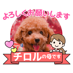miki_20210925092658