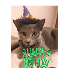 cocoa_20210919115856