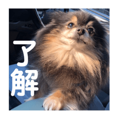 saya_20210924233137