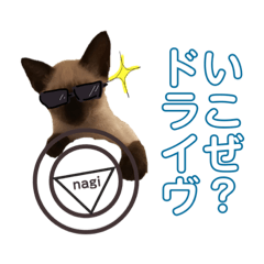 siamesecat Mr.Nagi_20210925012429