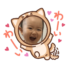 mi-mistanp s
