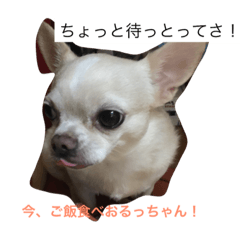 Dog SASEBO SPEAK
