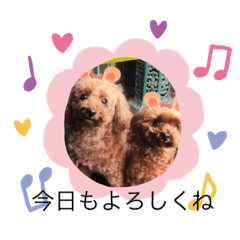 Cherry_20210924185832