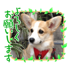 miki_20210925131804