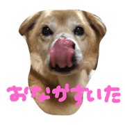 love san