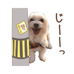 KAORI_20210919224642