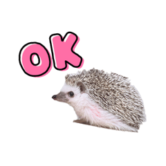 KAITO_20210919230526