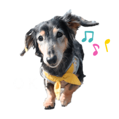 cherry_20210920000130