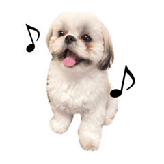 risa_20210920172614