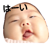 everyday*aoi
