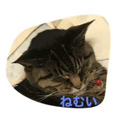AKIRA_20210920185730