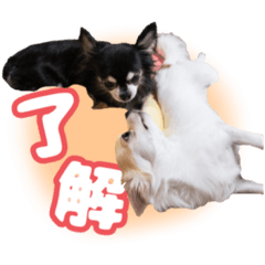 aoi_20210920185631
