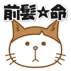 Maegami Neko the cute cat