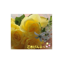 Satomi_20210925175800