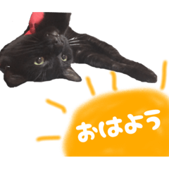 Nozomi_20210920112929