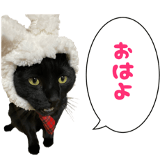 Nozomi_20210920113022