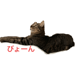 Hikaru_20210920134529