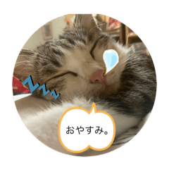 hikari_20210920182228