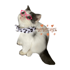 Unicorn_20210925103446