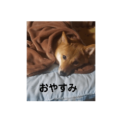 saori_20210925200134