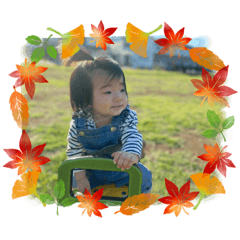 maple_20210920102217