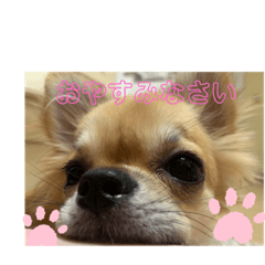 Himawari_20210925202424