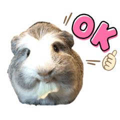 morumorumuu_20210920160506