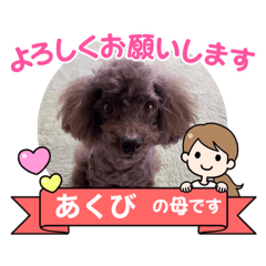 miki_20210925205154