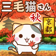 Moving Kyoto calico autumn ver.