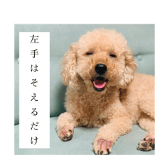 rina_20210925213315