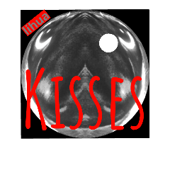 KISSES stamp of lihua 3