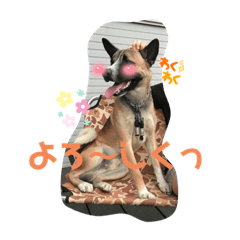 Momomonootomodati_20210920092849