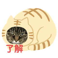 AKIRA_20210925215027