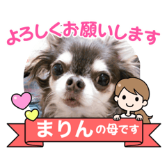 miki_20210925224547